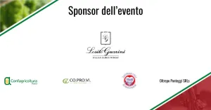 Freccia dei Vini: Vigevano - Pavia - Stradella 2022 - Immagine: 3