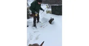 ASD GAOP - Gruppo Arcieri Oltrepo Pavese - Immagine: 10