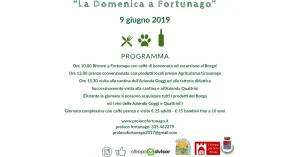Domenica a Fortunago 9 giugno 2109 - Immagine: 1