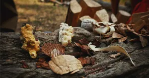 Varzi Rewild weekend 2020 - Immagine: 2