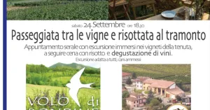Passeggiata tra le Vigne e Risottata al tramonto - Immagine: 1