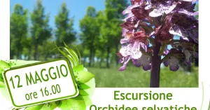 Passeggiata: Orchidee e Sole al telescopio, Planetario Cà del Monte 12 maggio - CECIMA - Immagine: 1
