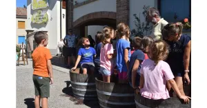 VENDEMMIAMO ASSIEME 2023 - Immagine: 4