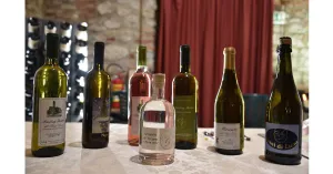 Azienda Vitivinicola Dellabianca Antonio - Immagine: 7