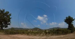 Greenway: il “serpente verde” dell'Oltrepò Pavese - Immagine: 2