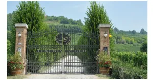 Concerto di Natale 2019 con Jazz Gospel Alchemy - Immagine: 5