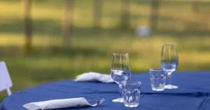 GUARDA CHE LUNA - 16 Luglio 2021 - Immagine: 3