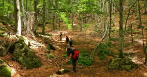 Wild Trek - Avventure in cammino - Immagine: 3