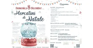 Mercatini di Natale - Bagnaria 2024 - Immagine: 4