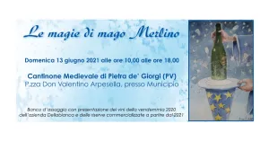 LE MAGIE DI MAGO MERLINO 2021 - Immagine: 1