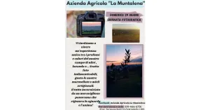 Giornata fotografica - Az. Agricola La Muntalena - Immagine: 3