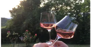 APERICENA TRA I VIGNETI 2020 - Immagine: 1