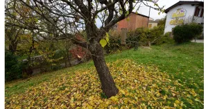 B&B Gli Acini Pietra de' Giorgi - Immagine: 9