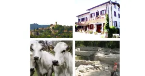 Domenica a Fortunago 12 maggio 2109 - Immagine: 6