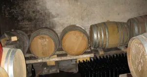 Azienda Vitivinicola Dellabianca Antonio - Immagine: 5