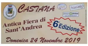 ANTICA FIERA DI SANT'ANDREA 6° EDIZIONE - 2019 CASTANA - Immagine: 1