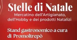Stelle di Natale - Stradella 2025 - Immagine: 2
