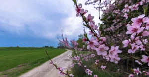 Mangialonga Porte dell'Oltrepò 2023 - Immagine: 4