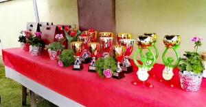 Sagra delle Torte - 2023 Bosnasco 10° Edizione - Immagine: 2