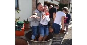 VENDEMMIAMO ASSIEME 2025 - Immagine: 5