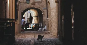 I piccoli borghi dell’ Oltrepò Pavese - Immagine: 3