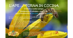 L'APE ... TORNA IN CUCINA  2022 - Immagine: 1