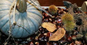 Domenica nel Borgo, 13 ottobre 2019 a Fortunago - Immagine: 2