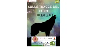 11 Giugno 2023 Alla Ricerca del Lupo e dei Segni della Sua Presenza, escursione e Conferenza, a chiusura Merenda - Immagine: 1