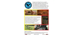 ASD GAOP - Gruppo Arcieri Oltrepo Pavese - Immagine: 2