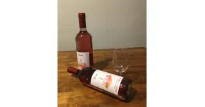 DAL VINO..... TANTE SORPRESE 2024 - Immagine: 4