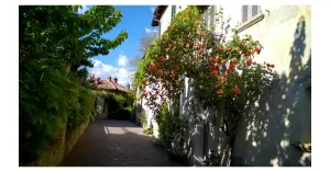 Pro Loco Fortunago - Immagine: 1