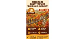26 Settembre 2026 Pomeriggio, Trekking al Ponte Tibetano e Foliage del Guardamonte - Immagine: 1