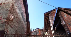 Affaccia-menti - Bruno Ceccobelli - Immagine: 1