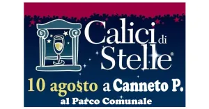 Calici di Stelle 2019 - Canneto Pavese - Immagine: 3