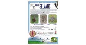 20 SETTEMBRE 2020, SULLE TRACCE DEI SELVATICI in Oltrepò Pavese, Escursione naturalistica/didattica e merenda a  fine attività - Immagine: 1