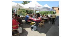 VENDEMMIAMO ASSIEME 2025 - Immagine: 6