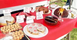 Sagra delle Torte - 2023 Bosnasco 10° Edizione - Immagine: 1