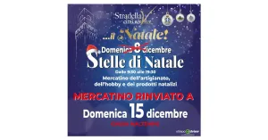 Stelle di Natale - Stradella 2024 - Immagine: 4