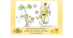 POLENTA A SAN MARTINO 2023 - Immagine: 2