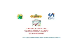 CANTINE APERTE IN CAMMINO AL 45° PARALLELO 2021 - Immagine: 1