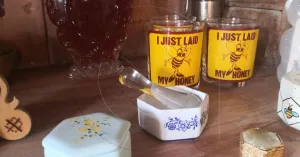 Museo delle Api di Montalto Pavese - Immagine: 3