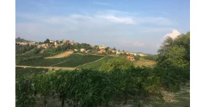 PICNIC AL MONTE CAMPONE 2022 - Immagine: 2