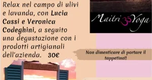 Yoga all'alba con degustazione - Az. Agricola La Muntalena - Immagine: 2