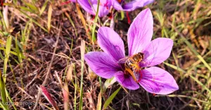 Fotografo di prodotti e studio fotografico - Immagine: 7