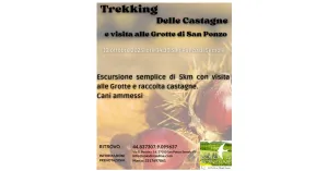 12 ottobre 2025 Castagnata in Grotta: Trekking Alle Grotte di San Ponzo e Castagnata - Immagine: 1
