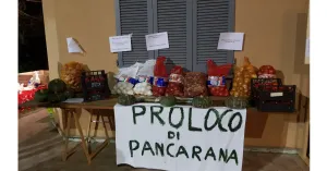 Sagra cipolla dorata vogherese - Pancarana 2019 - Immagine: 1