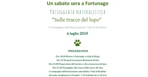 SULLE TRACCE DEL LUPO - FORTUNAGO 2019 - Immagine: 1