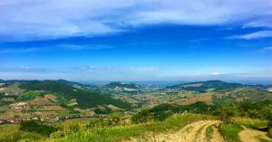 Azienda Agricola Il Masio di Marco Villani - Immagine: 3