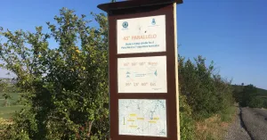 CANTINE APERTE IN CAMMINO AL 45° PARALLELO 2021 - Immagine: 2