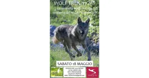 WOLF TREK NIGHT 18 maggio ore 20.30, Escursione Notturna in Oltrepò Pavese - Immagine: 1